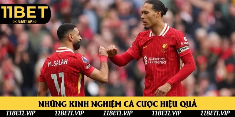 Những kinh nghiệm cá cược hiệu quả theo chuyên gia