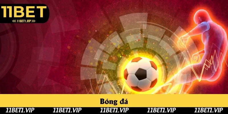 Bóng đá là bộ môn bất kỳ ai cũng bị cuốn hút, yêu thích