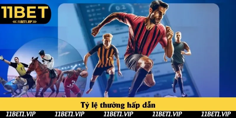 Các thành viên nhận được tỷ lệ thưởng cực cao, hấp dẫn